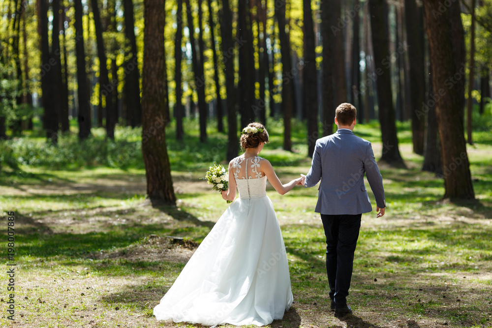 Back view of the charming stylish newlyweds holding hands while walking along the sunny meadow.