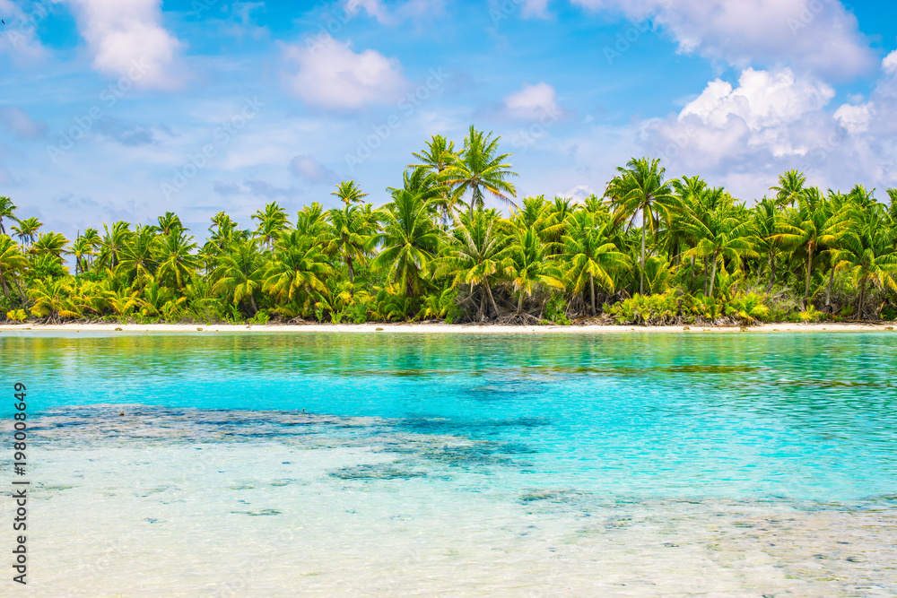 Tropical palm trees and lagoon of Fakarava, French Polynesia.
Summer vacation concept.
