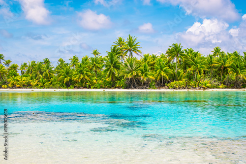 Tropical palm trees and lagoon of Fakarava, French Polynesia. Summer vacation concept. 
