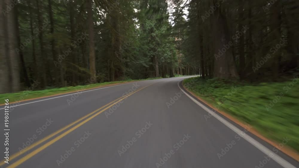 Mount Rainier National Park Driving Template Rain Forest Washington USA Mount Rainier National Park Driving Template Rain Forest Washington USA