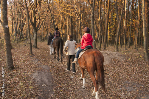 Kids learning riding horses in the forest