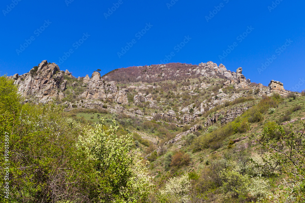 Russia, Crimea, Alushta, Demerdzhi Mountain, the Valley of the Gardens, flowering fruit trees. Beautiful spring landscape. Spring in the Crimea.