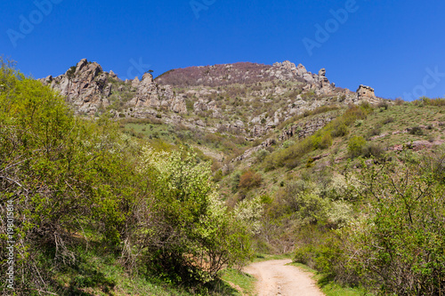 Russia, Crimea, Alushta, Demerdzhi Mountain, the Valley of the Gardens, flowering fruit trees. Beautiful spring landscape. Spring in the Crimea.