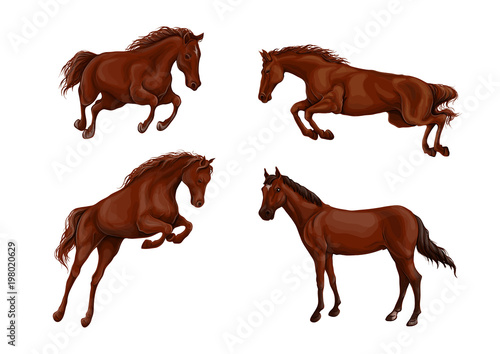A set of realistic running and jumping beautiful horses.