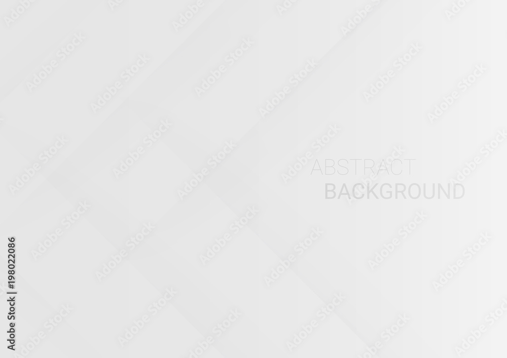 White geometric texture vector background White geometric texture vector background