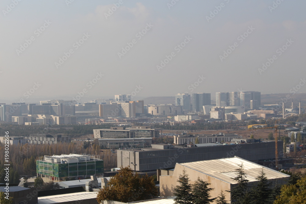 Obraz premium Campus 18
