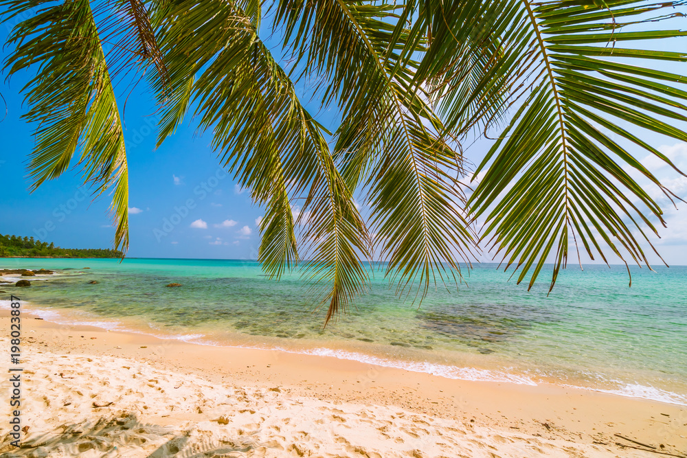 Fototapeta premium Beautiful paradise island with sea and beach landscape