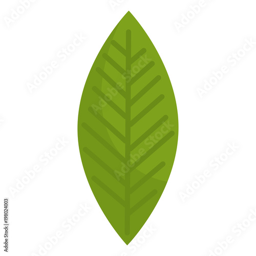 leafs plant ecology icon