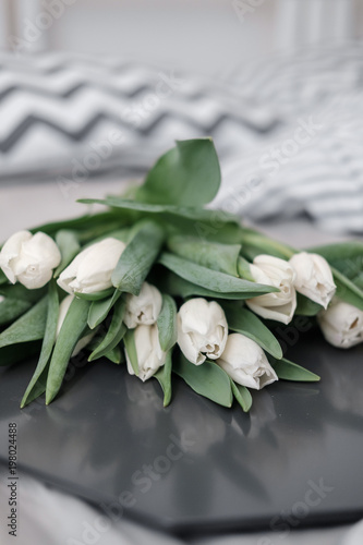 Wallpaper Mural White tulips on a tray Torontodigital.ca