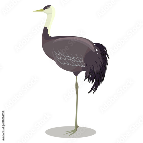 Hooded crane cartoon