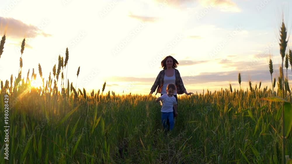 A happy mother runs after the child along the wheat field amid the sunset in a slow motion. A healthy mother and a little son play together