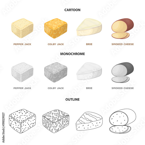 Brynza, smoked, colby jack, pepper jack.Different types of cheese set collection icons in cartoon,outline,monochrome style vector symbol stock illustration web.