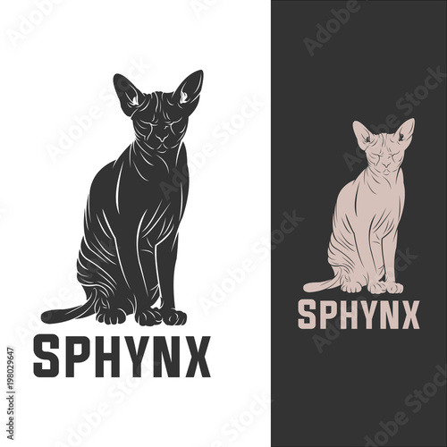 sphynx cat logotype