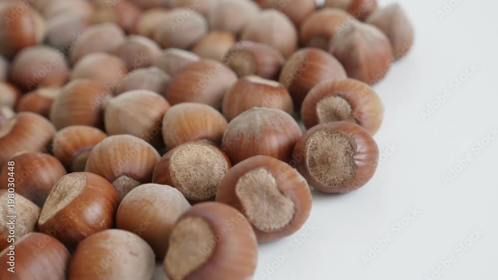 Pile of Corylus avellana nuts close-up panning footage - Slow pan over ripe hazelnuts on white background Pile of Corylus avellana nuts close-up panning footage - Slow pan over ripe hazelnuts on white background