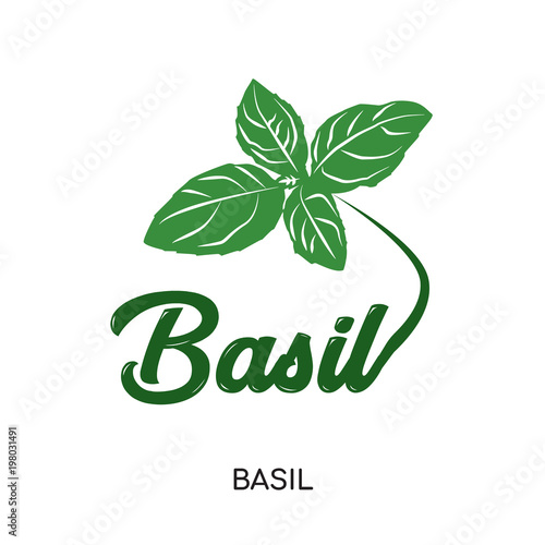 basil logo isolated on white background for your web, mobile and app design