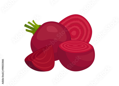 Beet vector illustration. Beetroot composition on a white background. Whole, half and chopped.