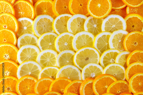 Abstract background of sliced ​​lemons and around them oranges. Top view.