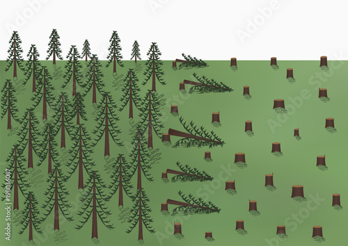 cutting down of a pine forest landscape, big trees and a lot of stumps, vector illustration horizontal
