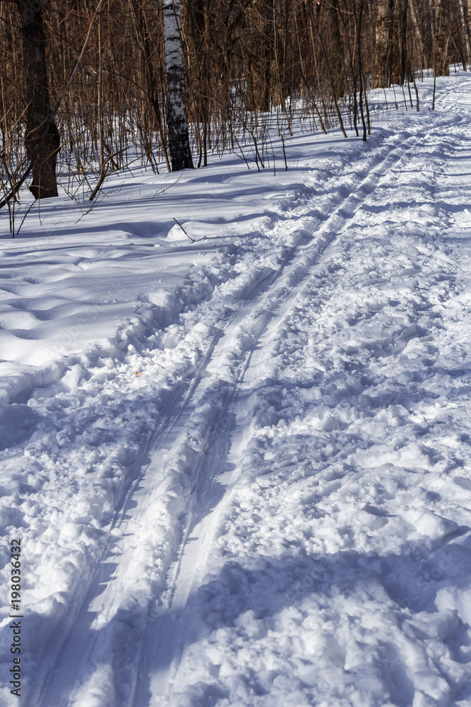Ski track in the city public park on a bright sunny day Ski track in the city public park on a bright sunny day