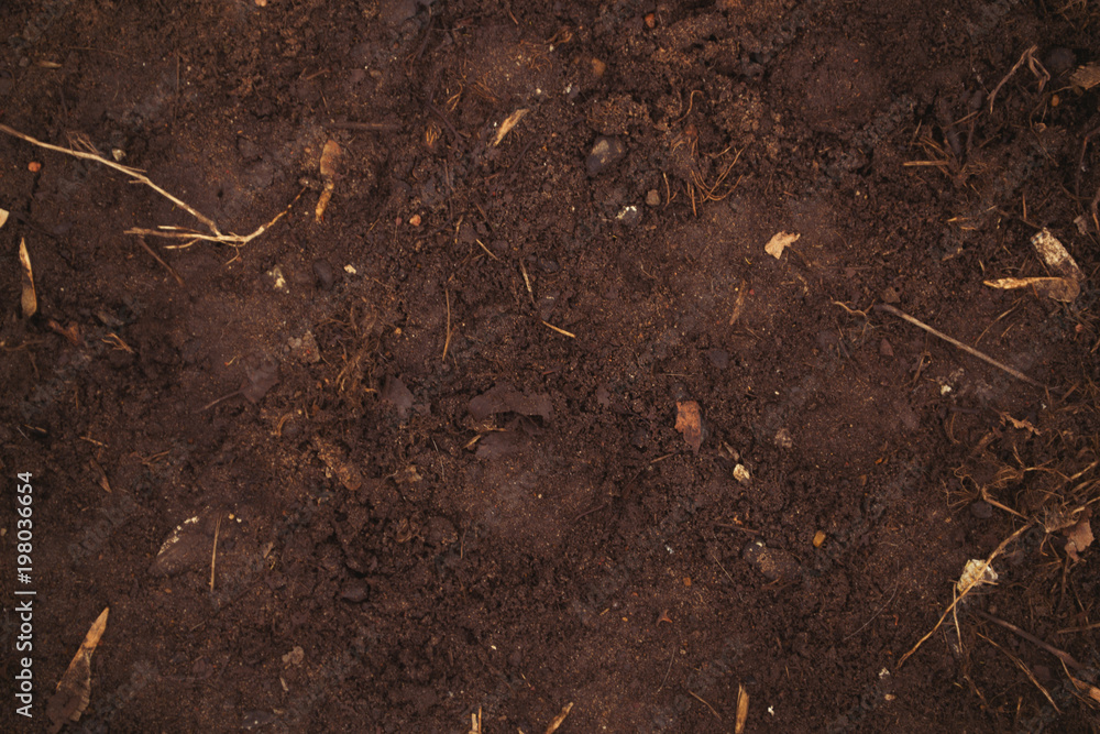 The texture of the earth The texture of the earth