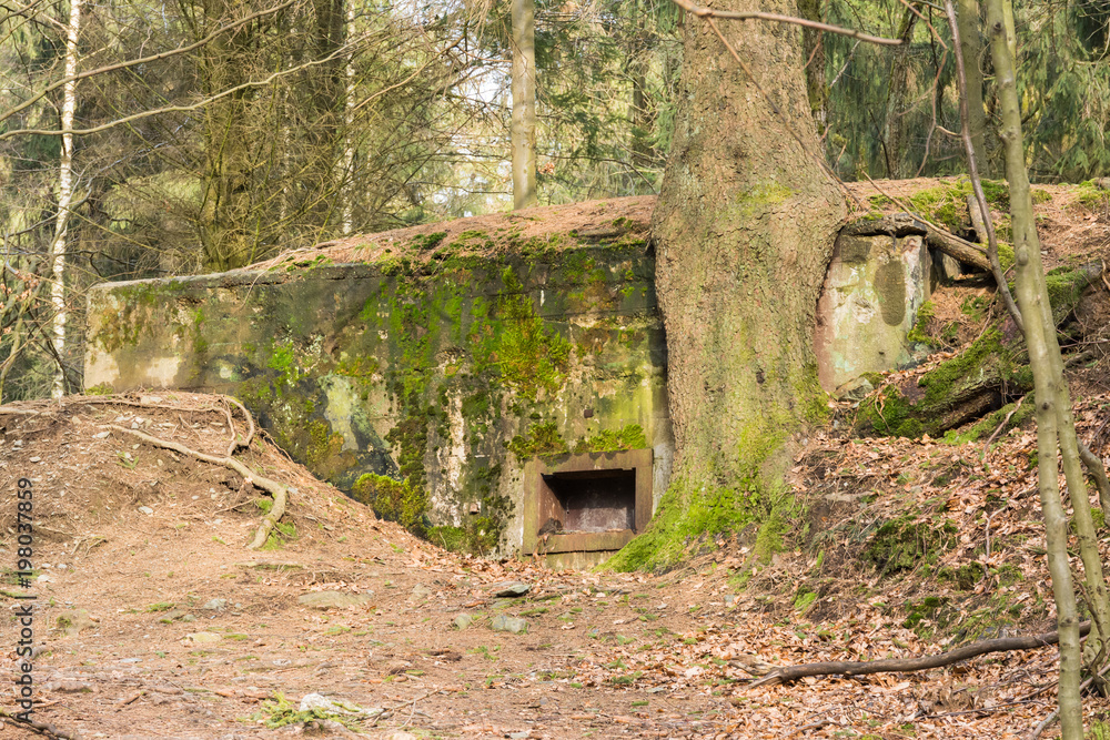 Bunker im Hürtgenwald