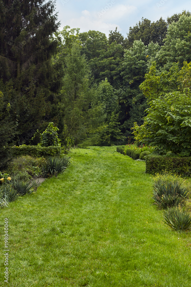 Summer landscape with green lawn and path to forest, selective focus