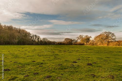 Countryside - Warminster - Wiltshire - UK