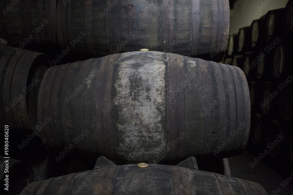 Old oak casks in Port wine cellar.