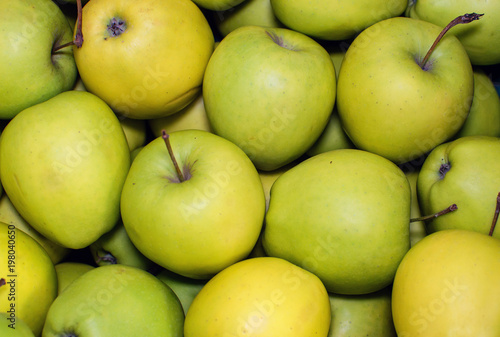 Pile of green apples