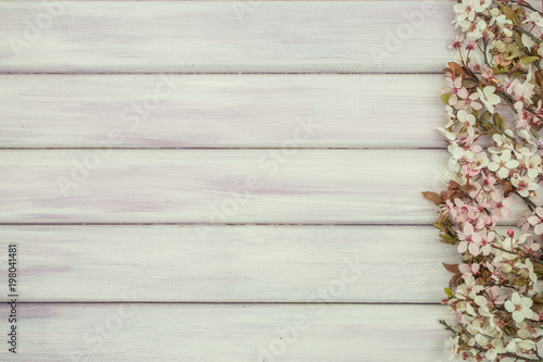 Spring pink/purple wooden background with blossom