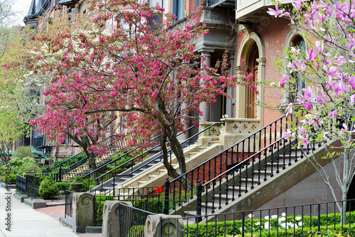 Spring in Back Bay, Boston photo