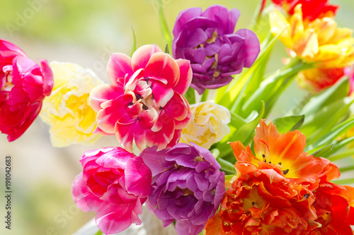 Blumenstrauß mit leuchtenden Tulpen © E. Schittenhelm