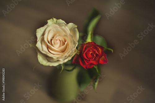 White and Red Rose- vintage composition