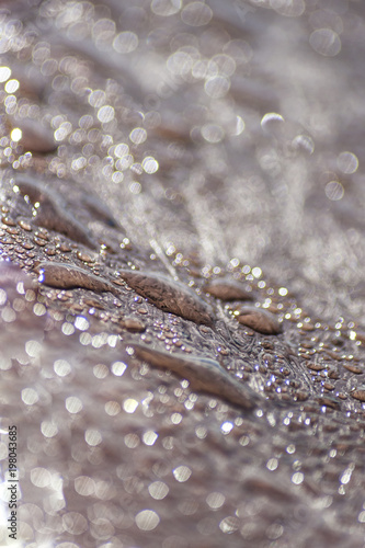 Waterdroop on the bench - Water Drops on the bench - close up photo