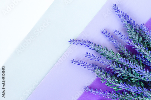Bouquet of lavender lays on striped white grey violet background