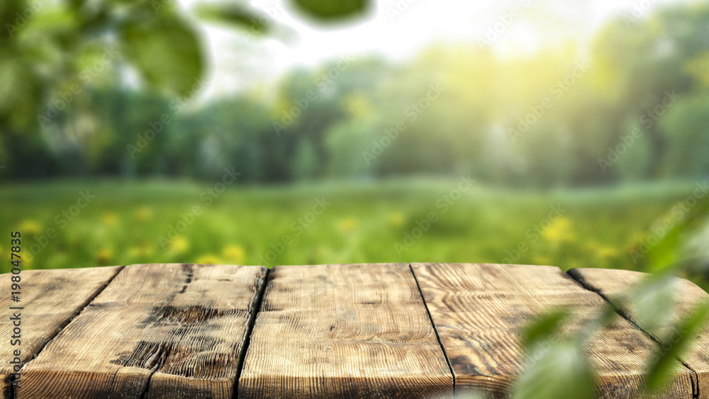 Fototapeta premium table background and spring time