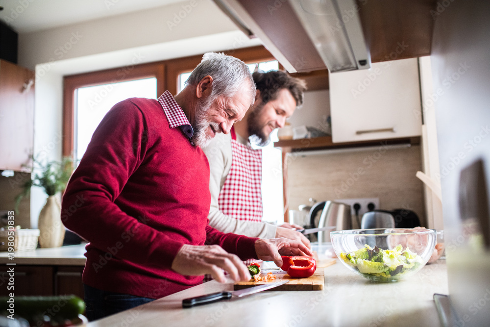 Hipster son with his senior father cooking in the kitchen. Hipster son with his senior father cooking in the kitchen.