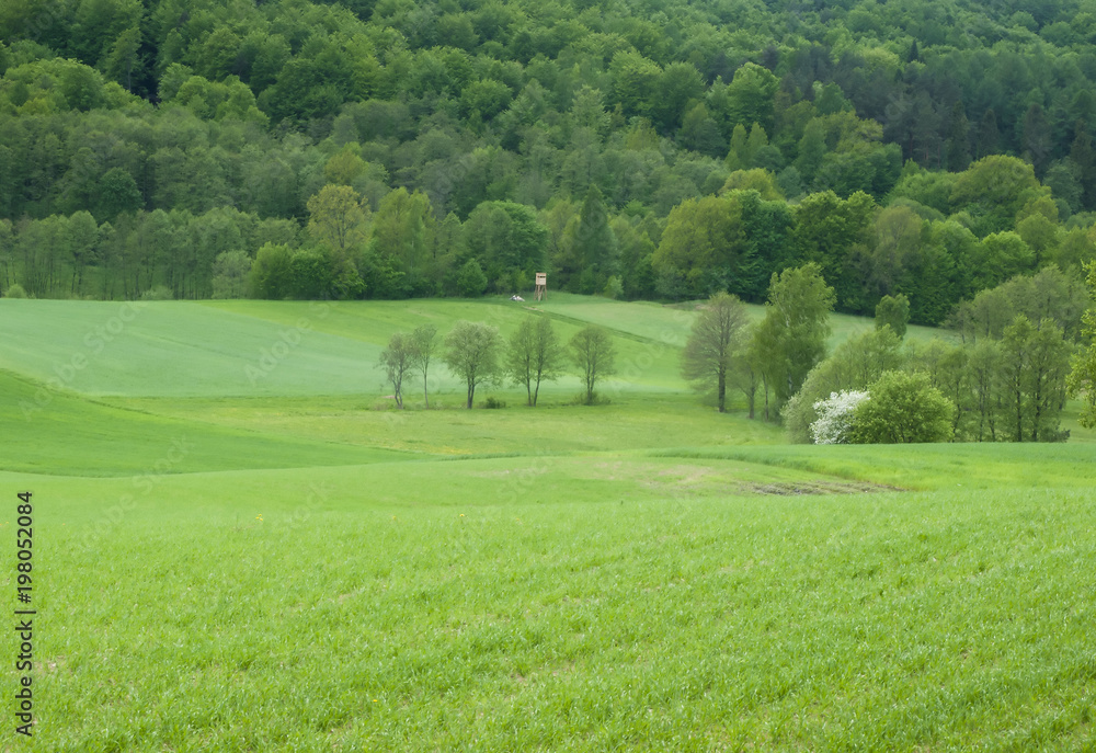 greenery greenery