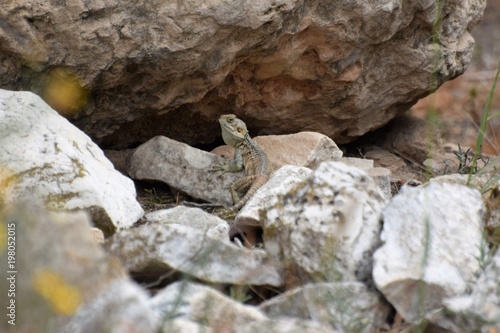 Cyprus old ruins