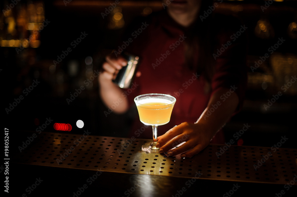 Female bartender serving a delicious fresh cocktail