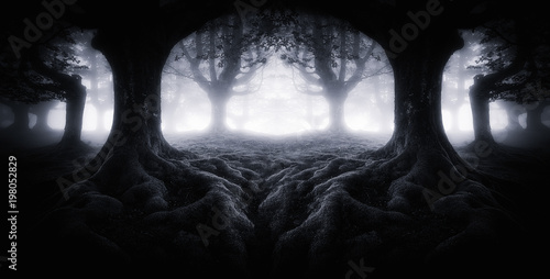 Scary dark forest with tree roots
