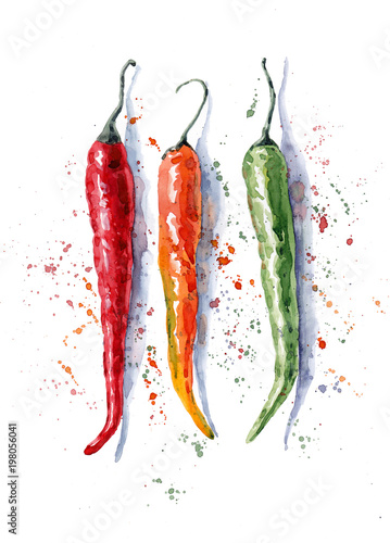 Watercolor hand-drawn illustration of chili pepper on the white background