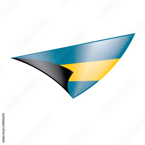 Bahamas flag  vector illustration