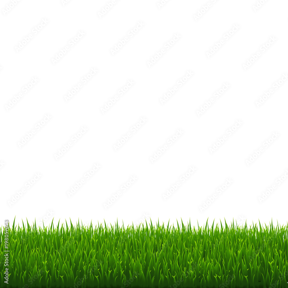 Green Grass Border Green Grass Border