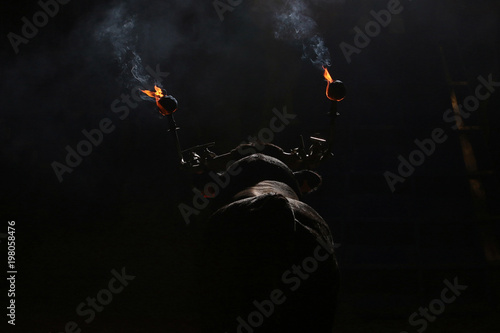 bull in spain