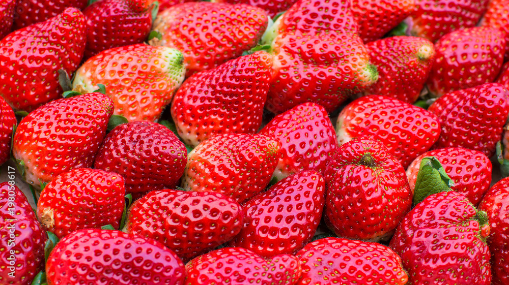 A full box of organic strawberries. A full box of organic strawberries.