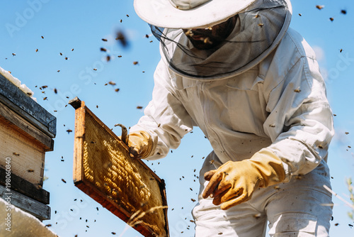 Print op canvas Beekeeper working collect honey.
