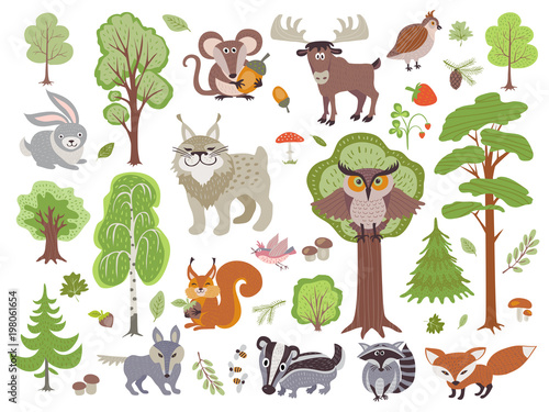 Big set of wild forest animals birds and trees. Cartoon forest isolated on white background