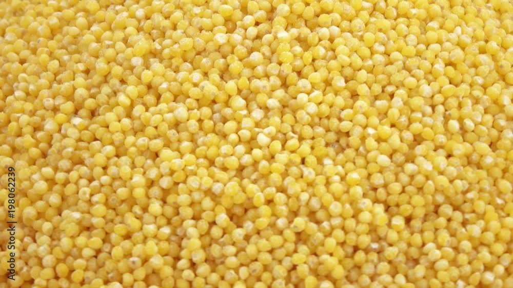Millet sanded in bulk Millet sanded in bulk