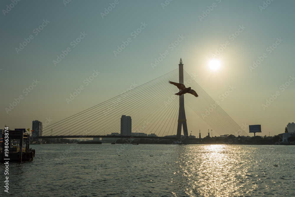 ラマ８世橋・吊り橋・バンコク・King Rama VIII Bridge